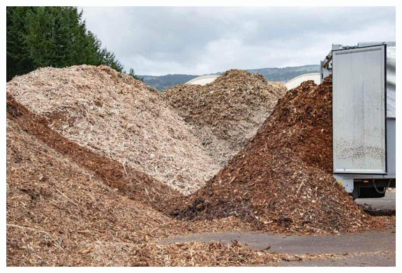 Valorisation de déchets 1